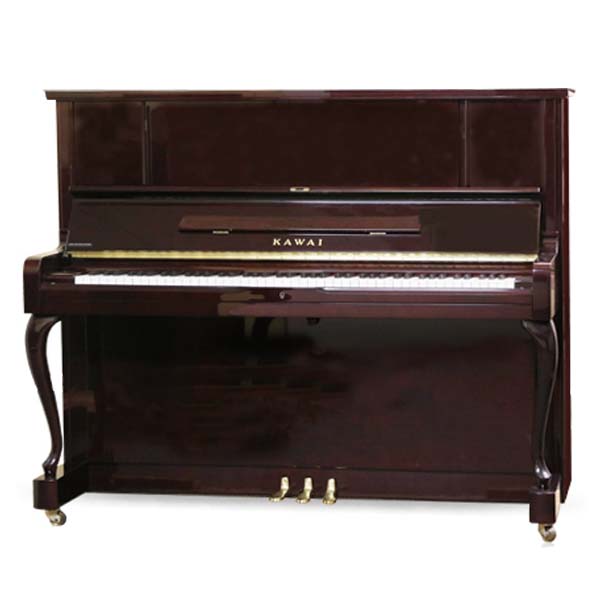 Music City – Tổng Kho Piano, Guitar, Organ | Dịch Vụ Giáo Dục Âm Nhạc