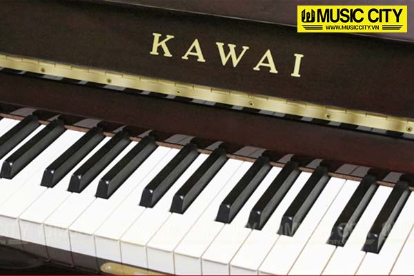 Music City – Tổng Kho Piano, Guitar, Organ | Dịch Vụ Giáo Dục Âm Nhạc