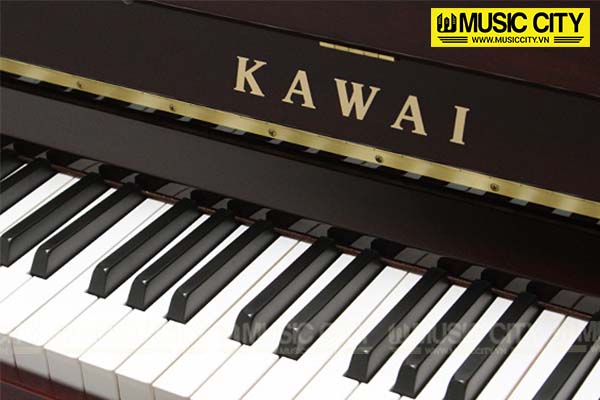 Music City – Tổng Kho Piano, Guitar, Organ | Dịch Vụ Giáo Dục Âm Nhạc