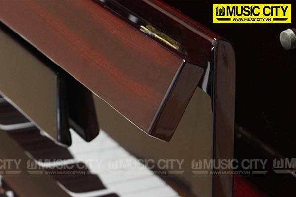 Music City – Tổng Kho Piano, Guitar, Organ | Dịch Vụ Giáo Dục Âm Nhạc