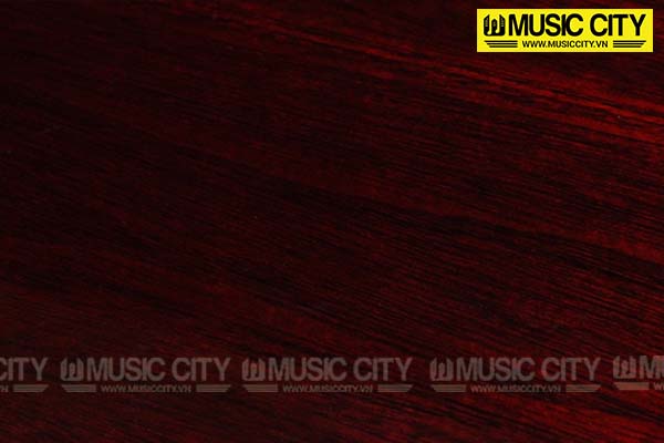 Music City – Tổng Kho Piano, Guitar, Organ | Dịch Vụ Giáo Dục Âm Nhạc