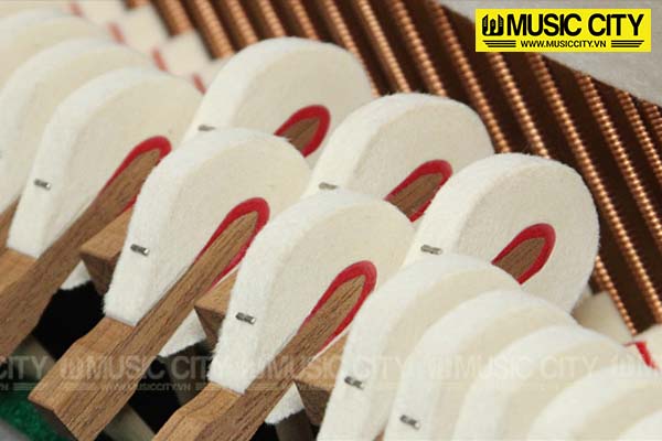 Music City – Tổng Kho Piano, Guitar, Organ | Dịch Vụ Giáo Dục Âm Nhạc