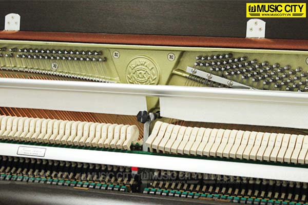 Music City – Tổng Kho Piano, Guitar, Organ | Dịch Vụ Giáo Dục Âm Nhạc