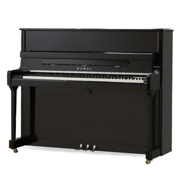 Music City – Tổng Kho Piano, Guitar, Organ | Dịch Vụ Giáo Dục Âm Nhạc