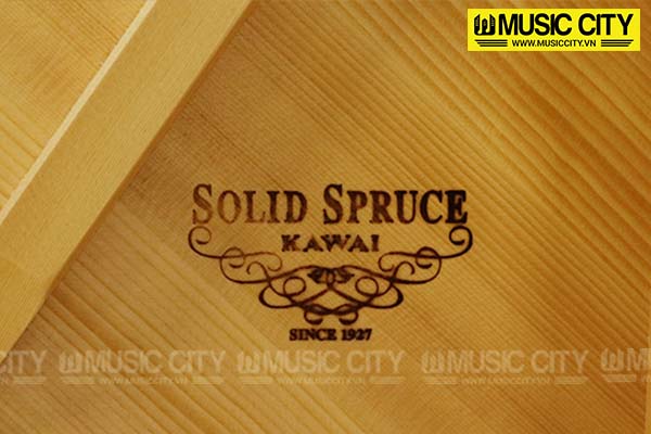 Music City – Tổng Kho Piano, Guitar, Organ | Dịch Vụ Giáo Dục Âm Nhạc