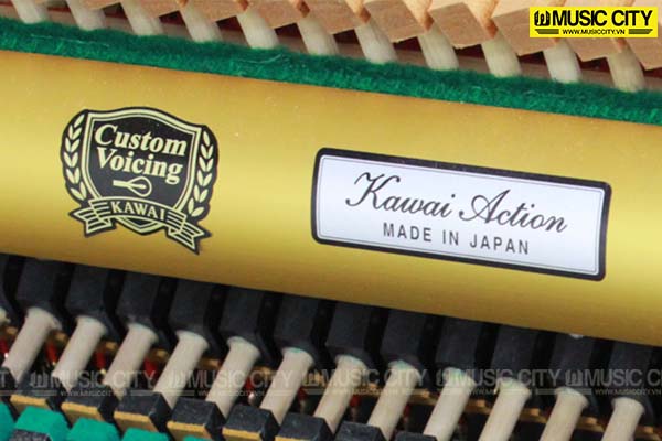 Music City – Tổng Kho Piano, Guitar, Organ | Dịch Vụ Giáo Dục Âm Nhạc