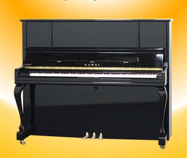 Music City – Tổng Kho Piano, Guitar, Organ | Dịch Vụ Giáo Dục Âm Nhạc