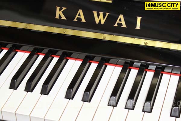 Music City – Tổng Kho Piano, Guitar, Organ | Dịch Vụ Giáo Dục Âm Nhạc
