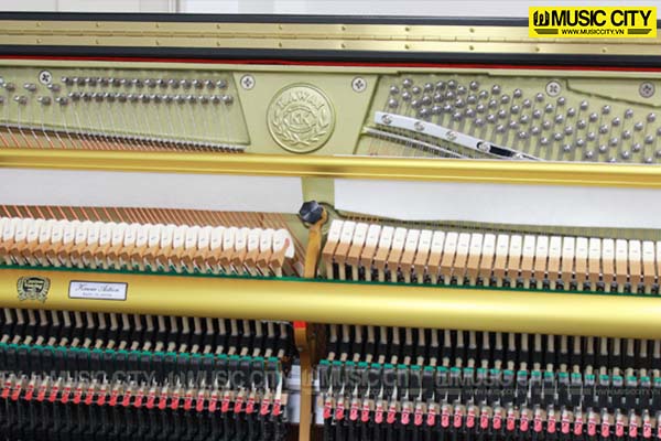 Music City – Tổng Kho Piano, Guitar, Organ | Dịch Vụ Giáo Dục Âm Nhạc