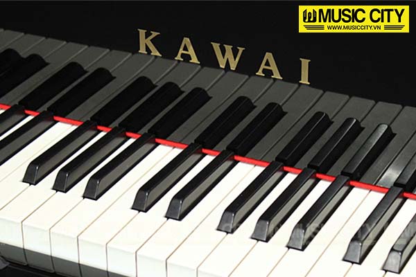 Music City – Tổng Kho Piano, Guitar, Organ | Dịch Vụ Giáo Dục Âm Nhạc