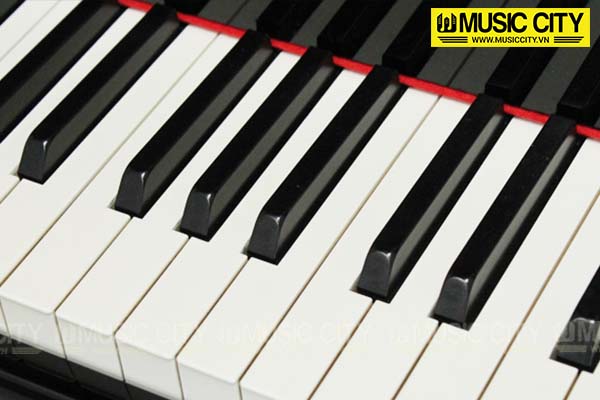 Music City – Tổng Kho Piano, Guitar, Organ | Dịch Vụ Giáo Dục Âm Nhạc