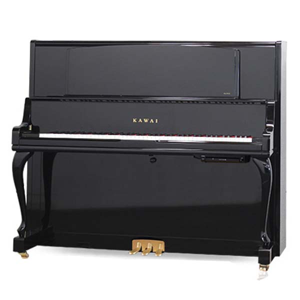 Music City – Tổng Kho Piano, Guitar, Organ | Dịch Vụ Giáo Dục Âm Nhạc