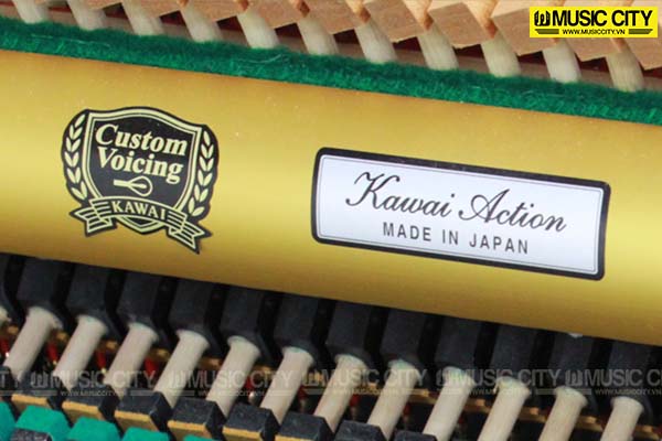 Music City – Tổng Kho Piano, Guitar, Organ | Dịch Vụ Giáo Dục Âm Nhạc