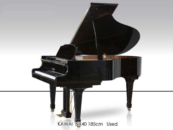 Music City – Tổng Kho Piano, Guitar, Organ | Dịch Vụ Giáo Dục Âm Nhạc