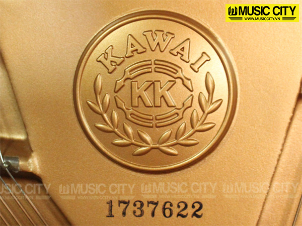 Music City – Tổng Kho Piano, Guitar, Organ | Dịch Vụ Giáo Dục Âm Nhạc