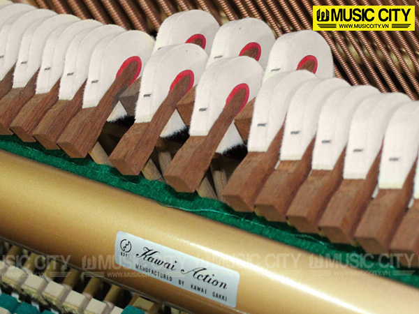 Music City – Tổng Kho Piano, Guitar, Organ | Dịch Vụ Giáo Dục Âm Nhạc