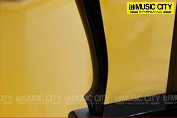 Music City – Tổng Kho Piano, Guitar, Organ | Dịch Vụ Giáo Dục Âm Nhạc