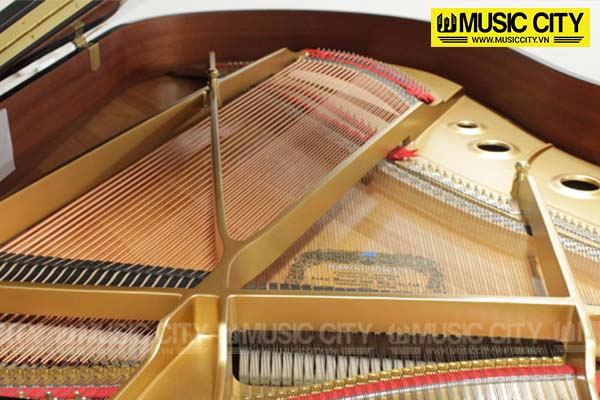 Music City – Tổng Kho Piano, Guitar, Organ | Dịch Vụ Giáo Dục Âm Nhạc