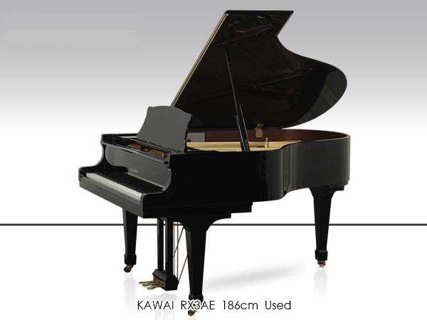Music City – Tổng Kho Piano, Guitar, Organ | Dịch Vụ Giáo Dục Âm Nhạc