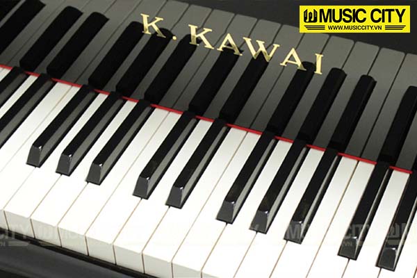 Music City – Tổng Kho Piano, Guitar, Organ | Dịch Vụ Giáo Dục Âm Nhạc