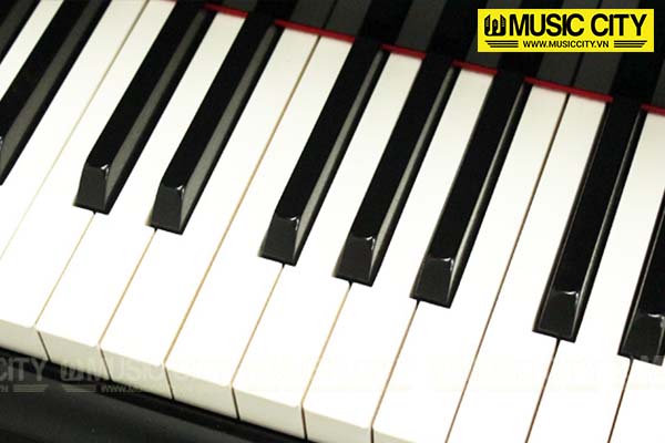 Music City – Tổng Kho Piano, Guitar, Organ | Dịch Vụ Giáo Dục Âm Nhạc