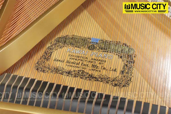 Music City – Tổng Kho Piano, Guitar, Organ | Dịch Vụ Giáo Dục Âm Nhạc