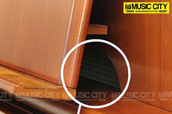 Music City – Tổng Kho Piano, Guitar, Organ | Dịch Vụ Giáo Dục Âm Nhạc