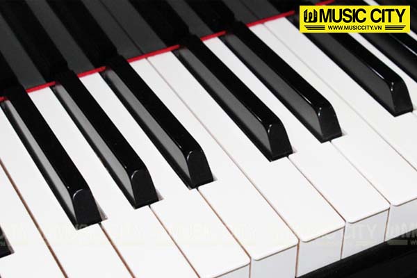 Music City – Tổng Kho Piano, Guitar, Organ | Dịch Vụ Giáo Dục Âm Nhạc