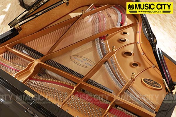 Music City – Tổng Kho Piano, Guitar, Organ | Dịch Vụ Giáo Dục Âm Nhạc