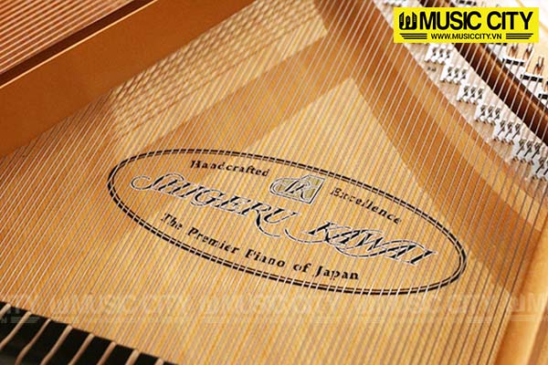 Music City – Tổng Kho Piano, Guitar, Organ | Dịch Vụ Giáo Dục Âm Nhạc