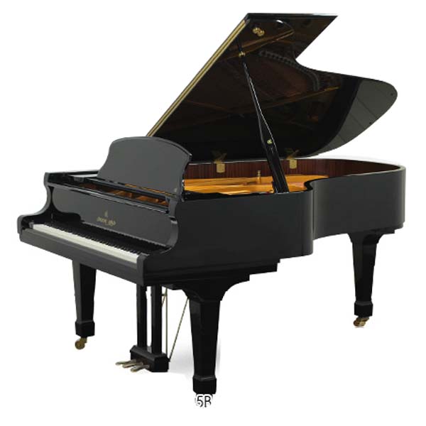 Music City – Tổng Kho Piano, Guitar, Organ | Dịch Vụ Giáo Dục Âm Nhạc