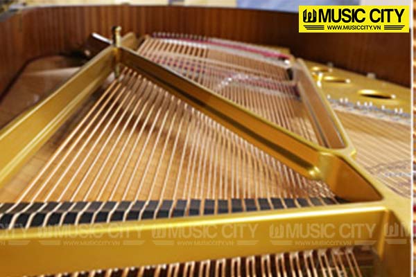 Music City – Tổng Kho Piano, Guitar, Organ | Dịch Vụ Giáo Dục Âm Nhạc
