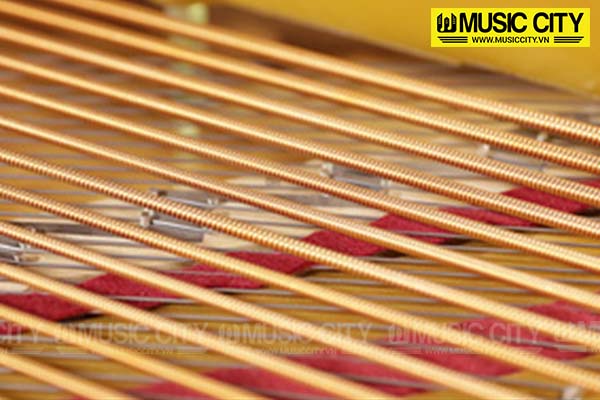 Music City – Tổng Kho Piano, Guitar, Organ | Dịch Vụ Giáo Dục Âm Nhạc