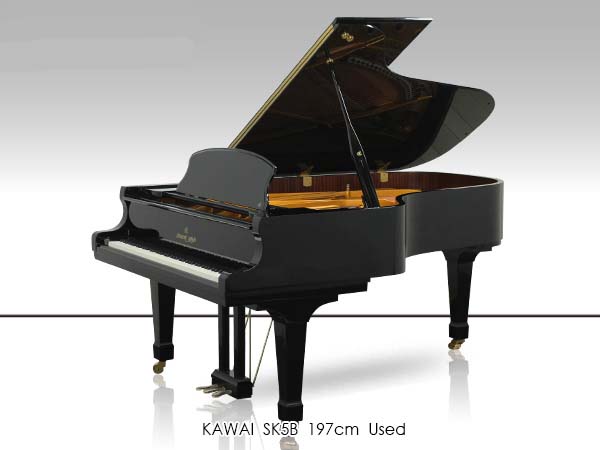 Music City – Tổng Kho Piano, Guitar, Organ | Dịch Vụ Giáo Dục Âm Nhạc