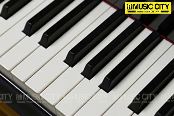 Music City – Tổng Kho Piano, Guitar, Organ | Dịch Vụ Giáo Dục Âm Nhạc