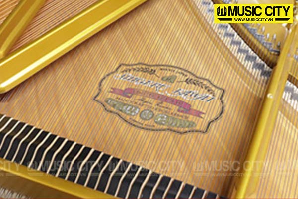 Music City – Tổng Kho Piano, Guitar, Organ | Dịch Vụ Giáo Dục Âm Nhạc