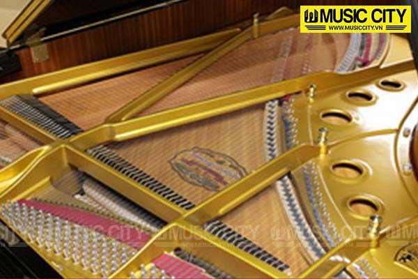 Music City – Tổng Kho Piano, Guitar, Organ | Dịch Vụ Giáo Dục Âm Nhạc