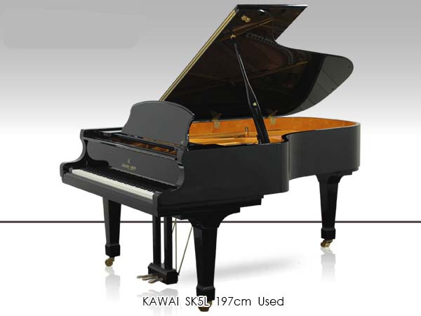 Music City – Tổng Kho Piano, Guitar, Organ | Dịch Vụ Giáo Dục Âm Nhạc