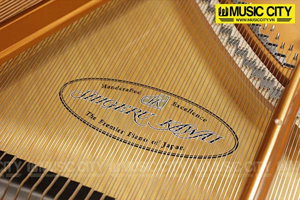 Music City – Tổng Kho Piano, Guitar, Organ | Dịch Vụ Giáo Dục Âm Nhạc