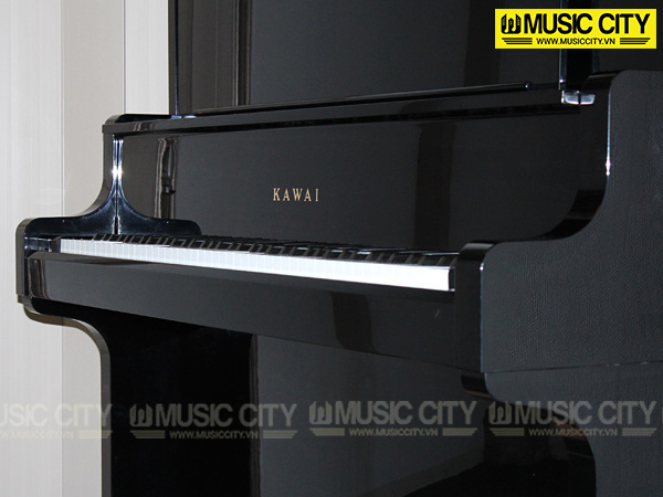 Music City – Tổng Kho Piano, Guitar, Organ | Dịch Vụ Giáo Dục Âm Nhạc