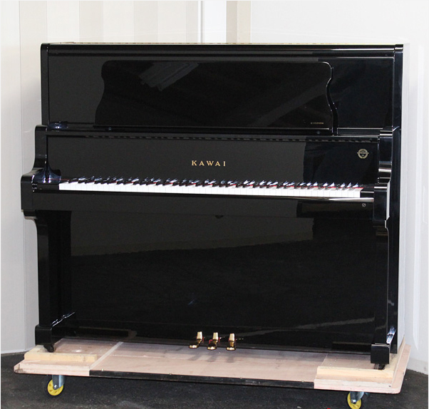 Music City – Tổng Kho Piano, Guitar, Organ | Dịch Vụ Giáo Dục Âm Nhạc