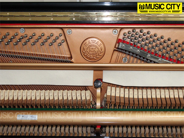 Music City – Tổng Kho Piano, Guitar, Organ | Dịch Vụ Giáo Dục Âm Nhạc