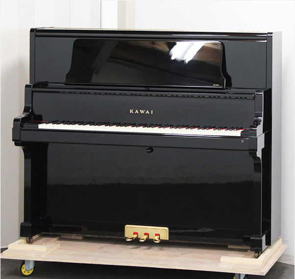 Music City – Tổng Kho Piano, Guitar, Organ | Dịch Vụ Giáo Dục Âm Nhạc