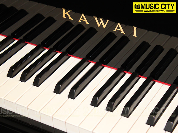 Music City – Tổng Kho Piano, Guitar, Organ | Dịch Vụ Giáo Dục Âm Nhạc