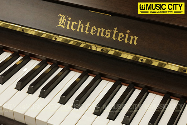 Music City – Tổng Kho Piano, Guitar, Organ | Dịch Vụ Giáo Dục Âm Nhạc