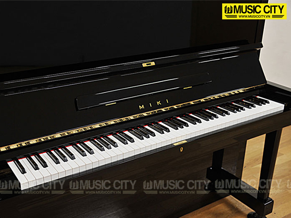 Music City – Tổng Kho Piano, Guitar, Organ | Dịch Vụ Giáo Dục Âm Nhạc