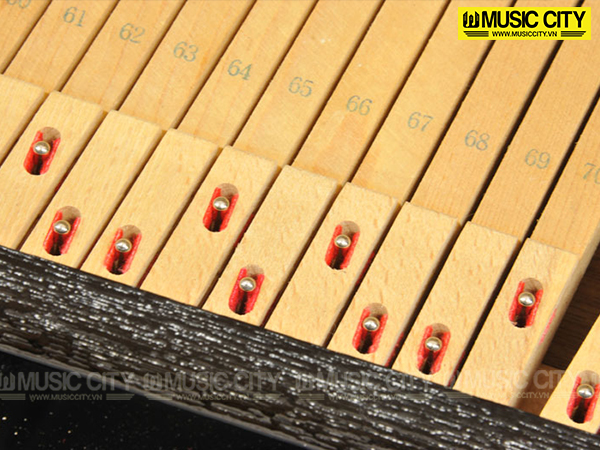 Đàn Piano Miki M36H - Ảnh 6