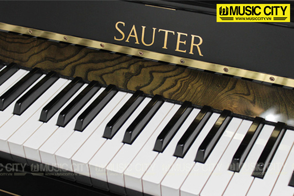 Đàn Piano Sauter 122 Domino - Ảnh 3