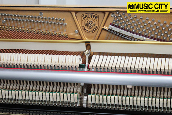 Music City – Tổng Kho Piano, Guitar, Organ | Dịch Vụ Giáo Dục Âm Nhạc