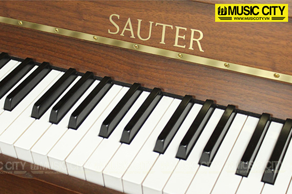 Đàn Piano Sauter 122 - Ảnh 3